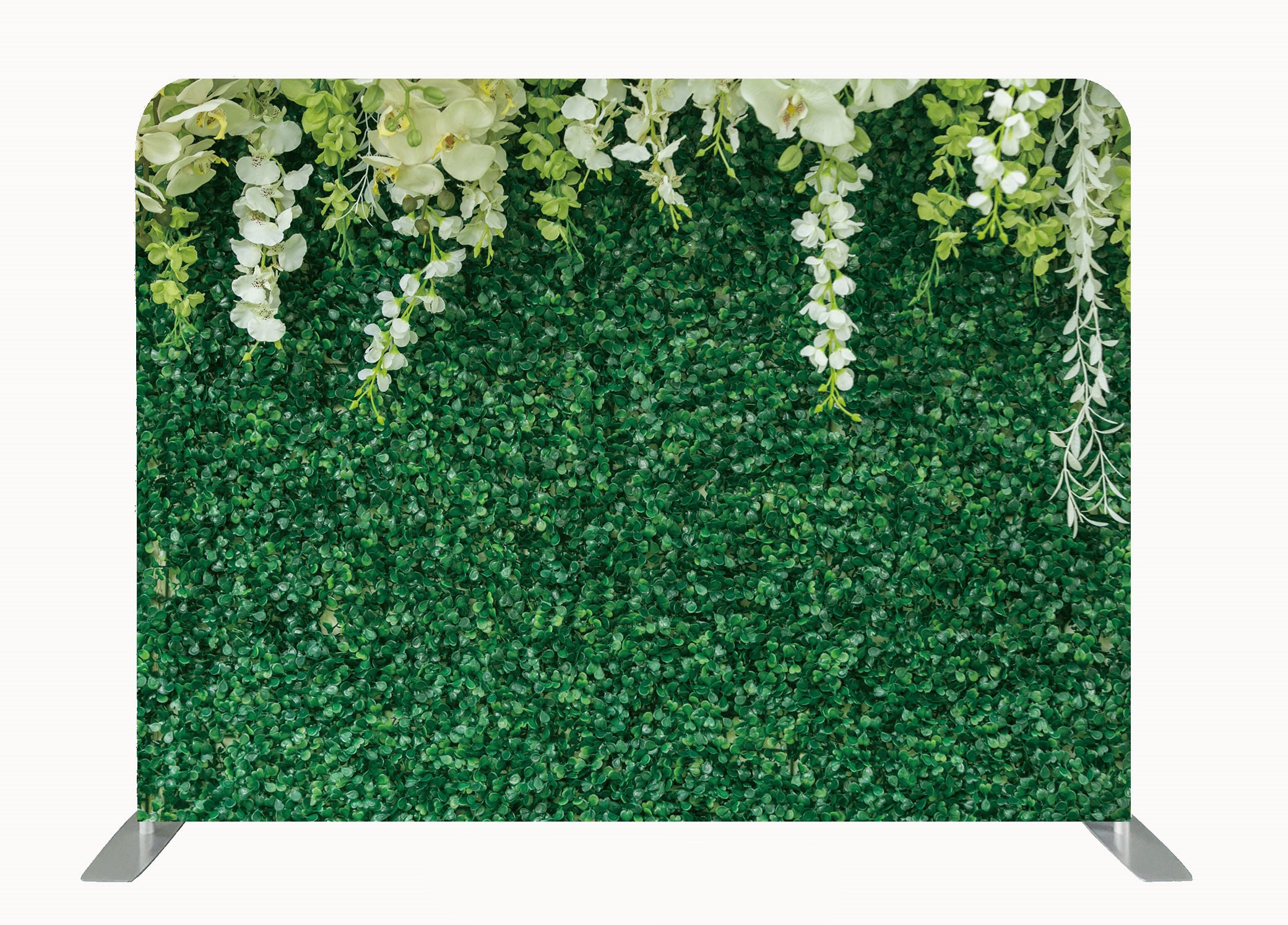 363756081 1111751323115545 1146710780461600197 n